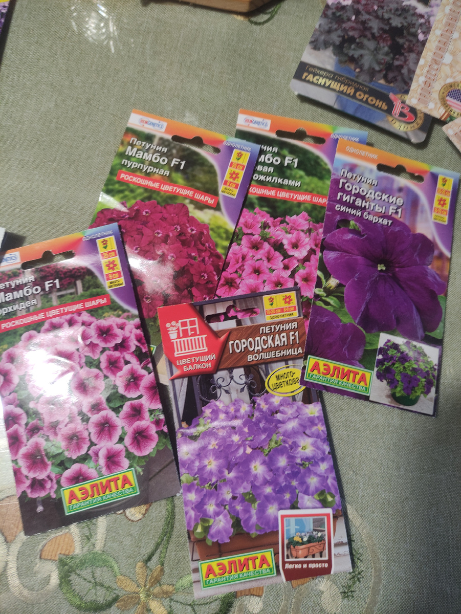 Петунии, много решила не сеять.