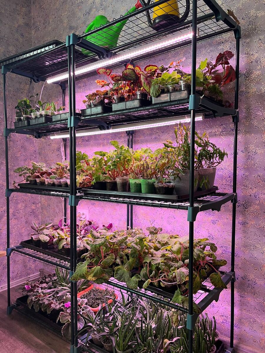 Начинала я с этого стеллажа