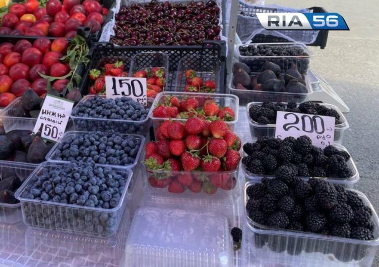    «Молодильная» ягода. Россиянам рассказали, почему следует включать в рацион голубику Кристина Просвиркина