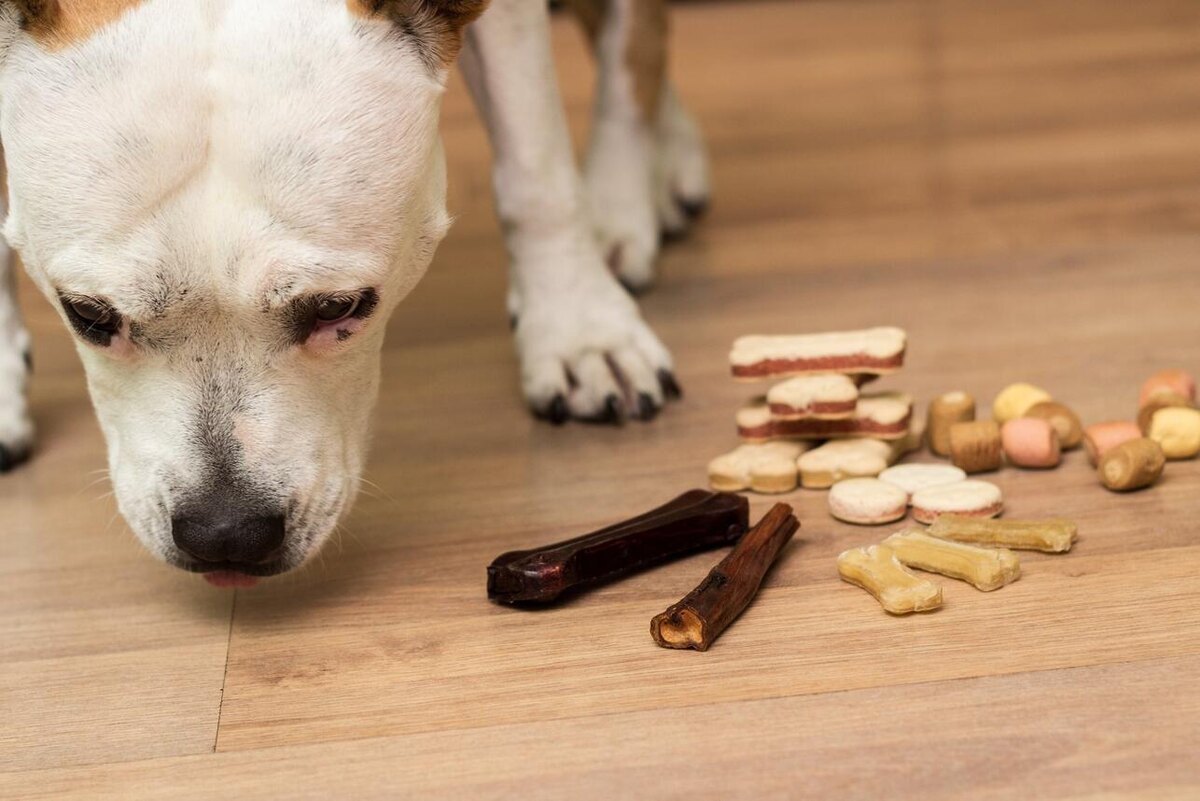     123RF/legion-media.ru