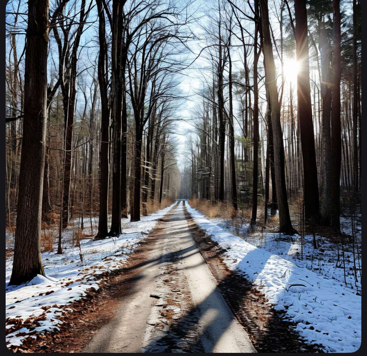 В этом же году февраль наступает с глубокой оттепели