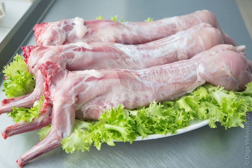 Фото из интернета. Тушки кролика.