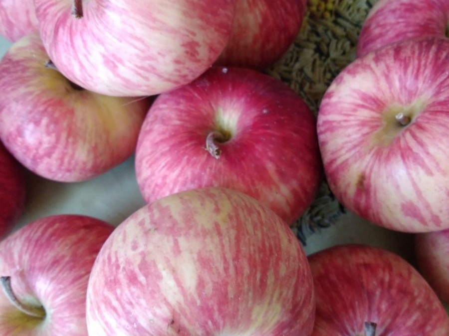 Московская Грушовка. Фото: Empress92, irecommend.ru