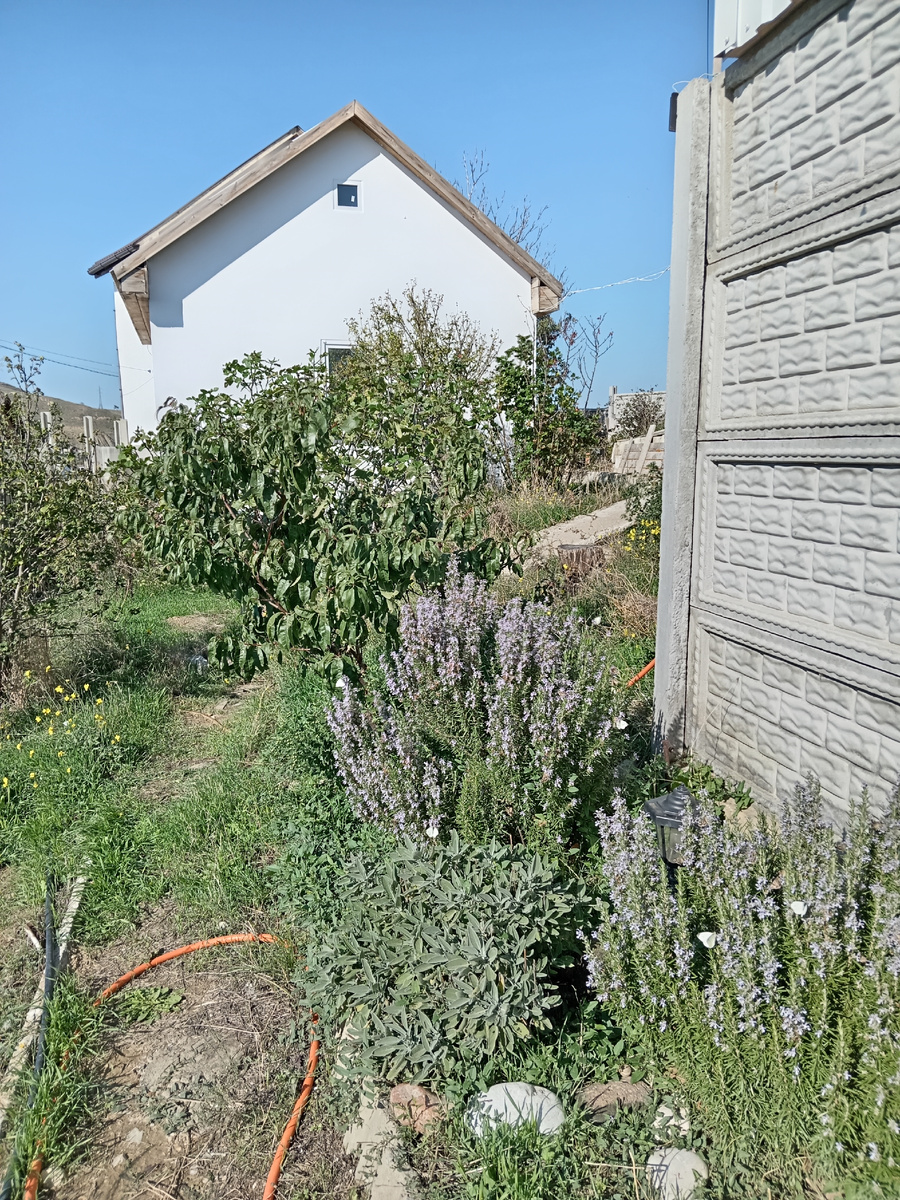 Демография, жильё.