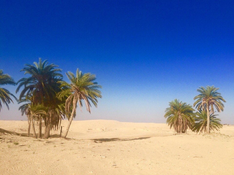 Фото: Екатерина Горшкова