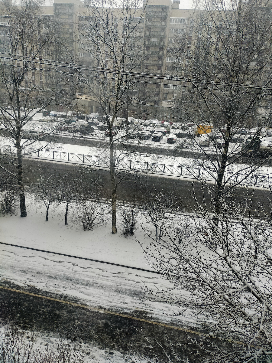 Фото автора.