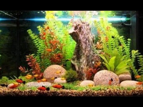 Фото из интернета.