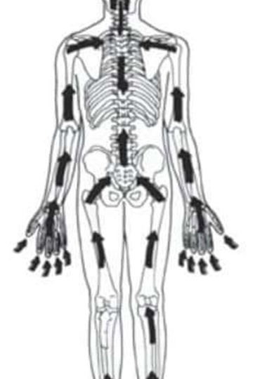 КОСТНОЕ ДЫХАНИЕ.