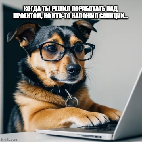 Собака в очках, смотрящая на ноутбук