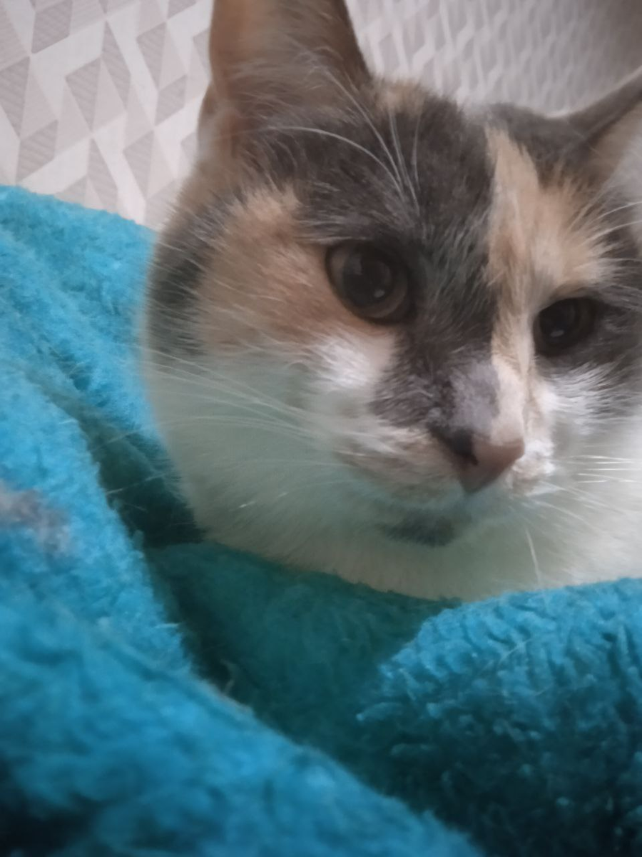 Милка очень часто использует "молочный шаг" и после ее чувств остаутся "дырки" на теле. 