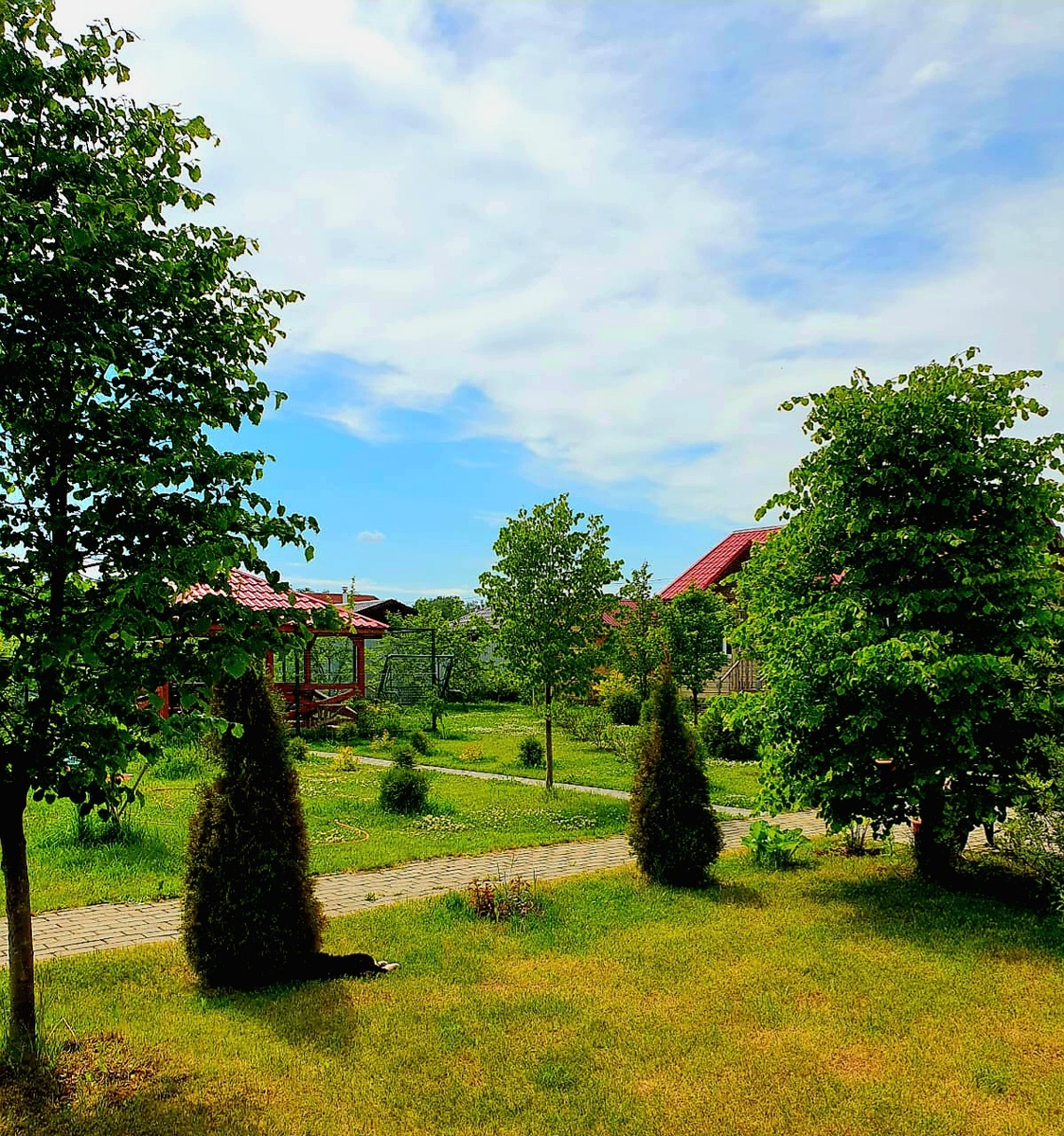 Весенний сад (многократно обработанный от всех видов вредителей)