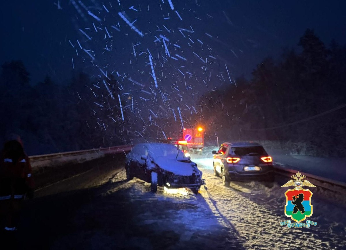    Фото: МВД Карелии