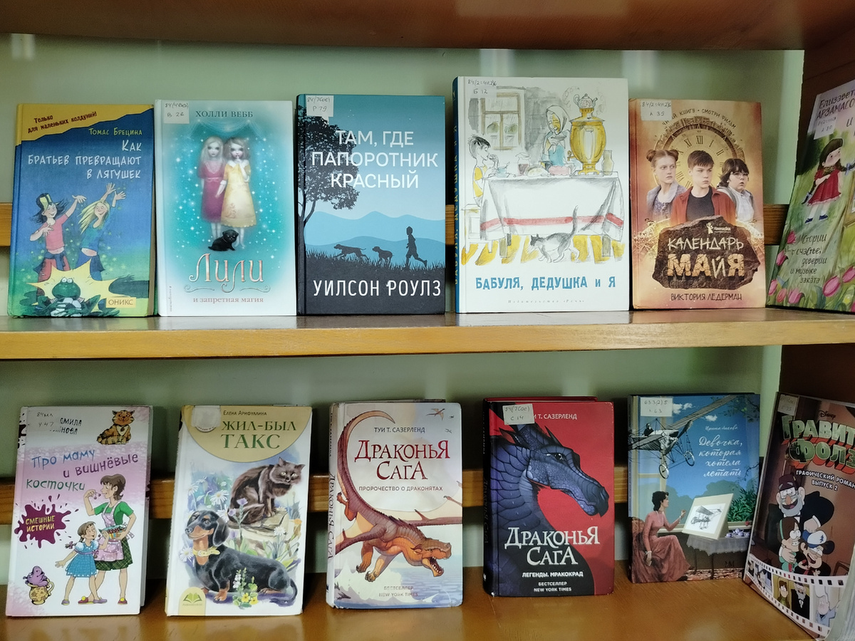 Что читают подростки? (Открытые полки на абонементе отдела обслуживания детей 5-9 классов)