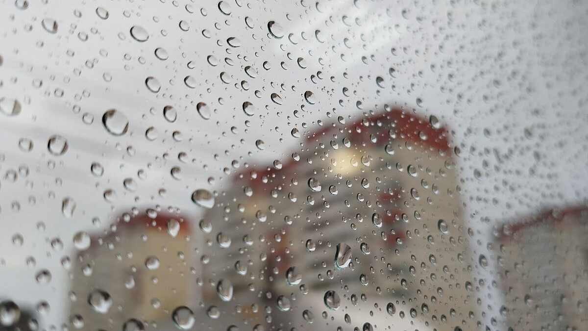    Фото: телеканал «Краснодар»