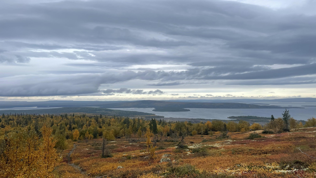вид с горы Вороньей по дороге в Риж Губу