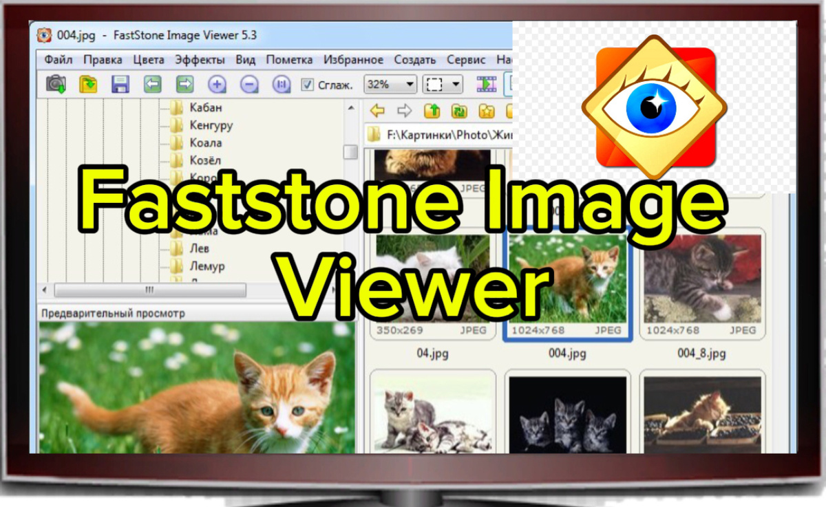 Faststone Image Viewer Скачать бесплатно