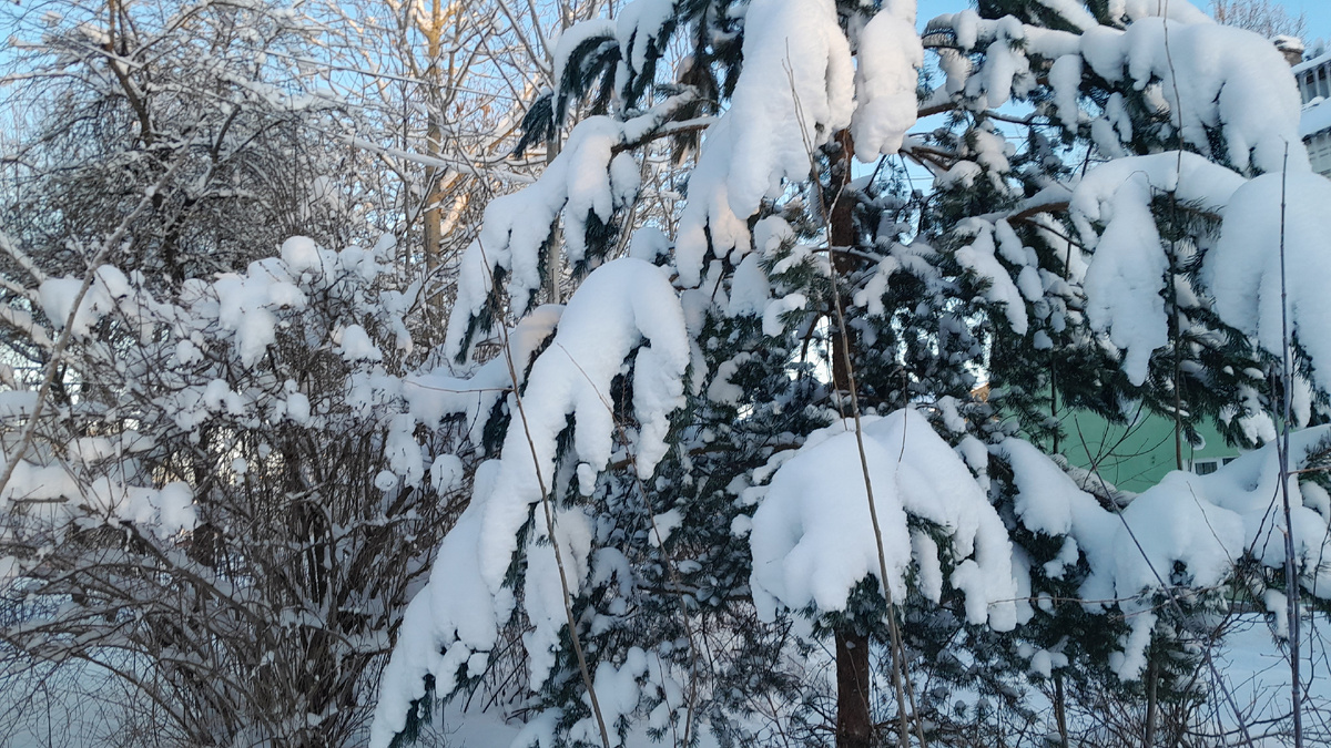 Фото автора Ирины Одарчук Паули