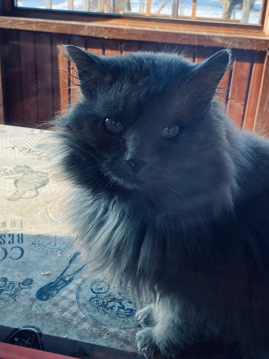 Ну очень красивык глаза у Дымы.