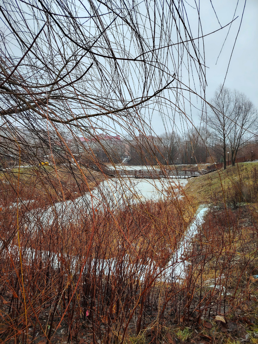 Вид на пруд