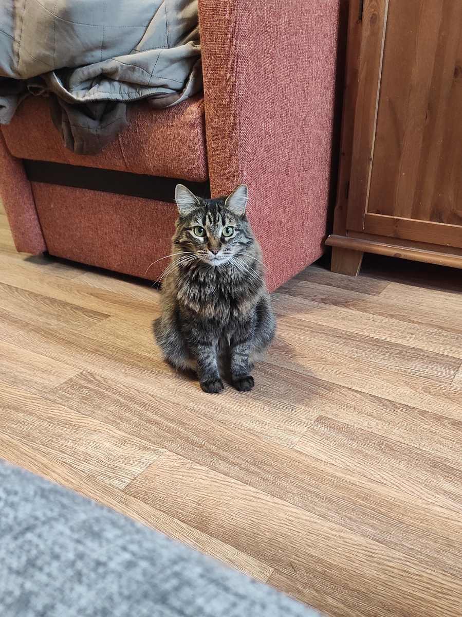 КушаЦ хочется