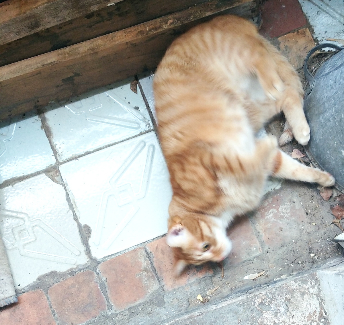 Личное фото.  