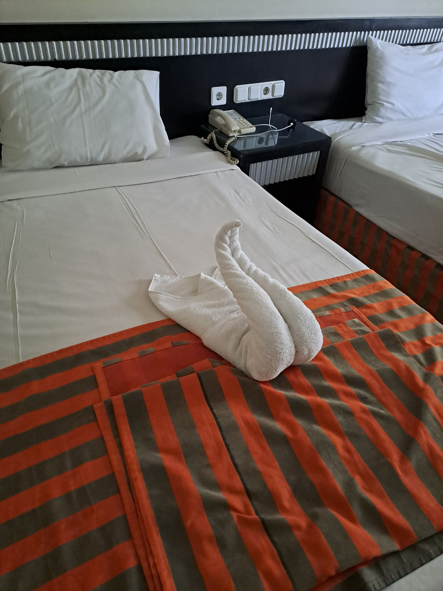 Скульптура из полотенца. Лебедь?