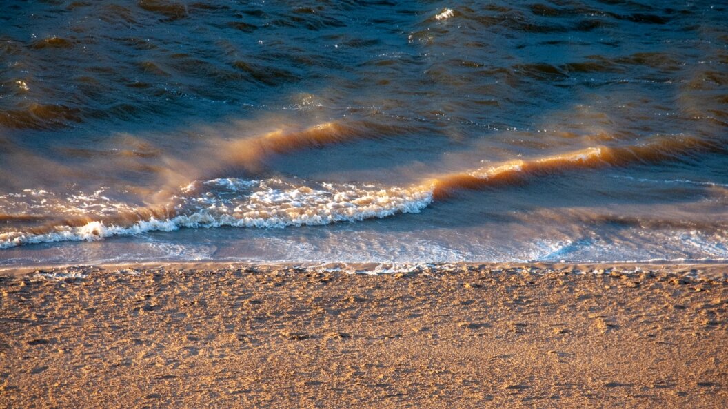    Svetlana Vozmilova/Globallookpress