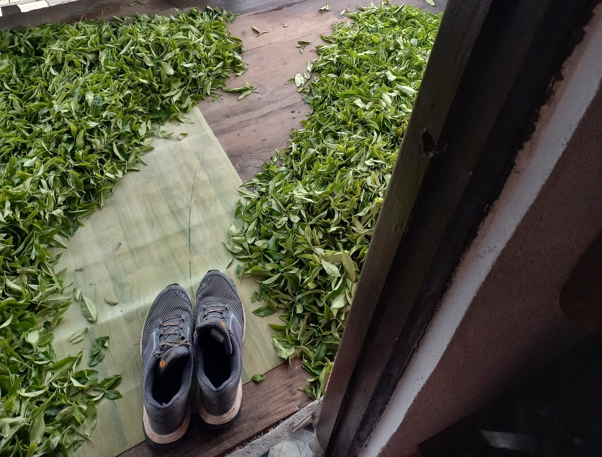 а это утром