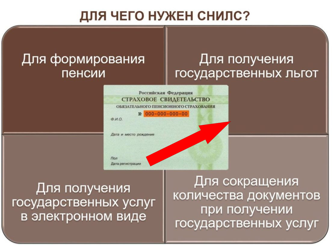   Как легко проверить СНИЛС и не оказаться впросаке?