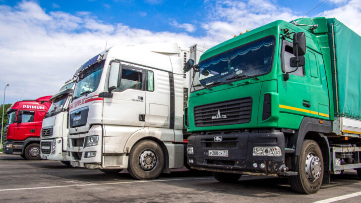 Фото VPales / Shutterstock.com