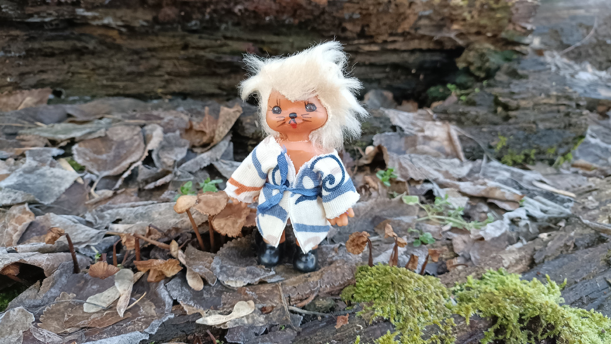 Ещё немного грибов.