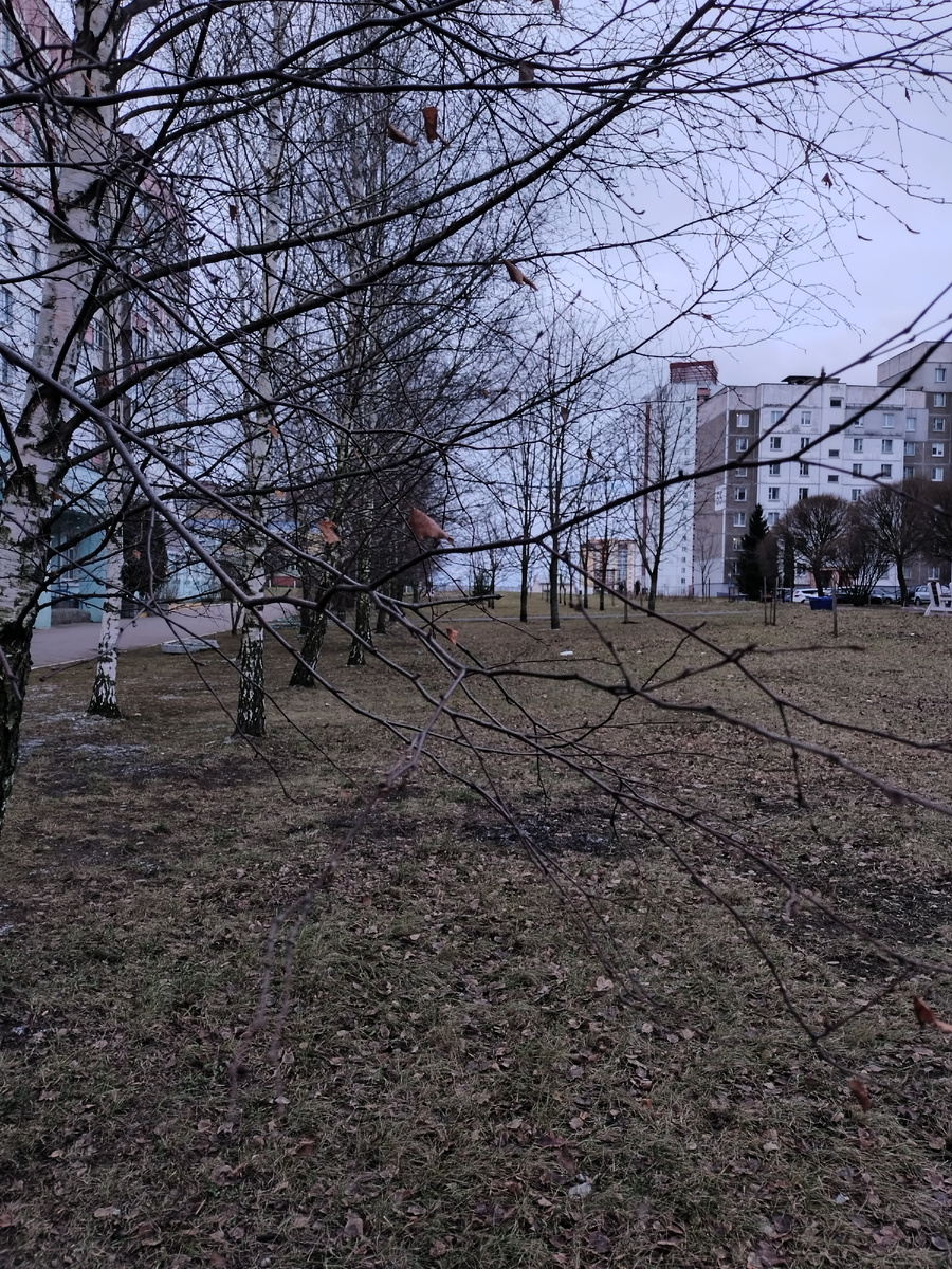 Солнце укатилось