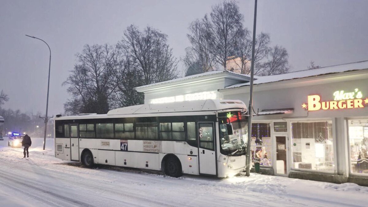    Фото: Соцсети