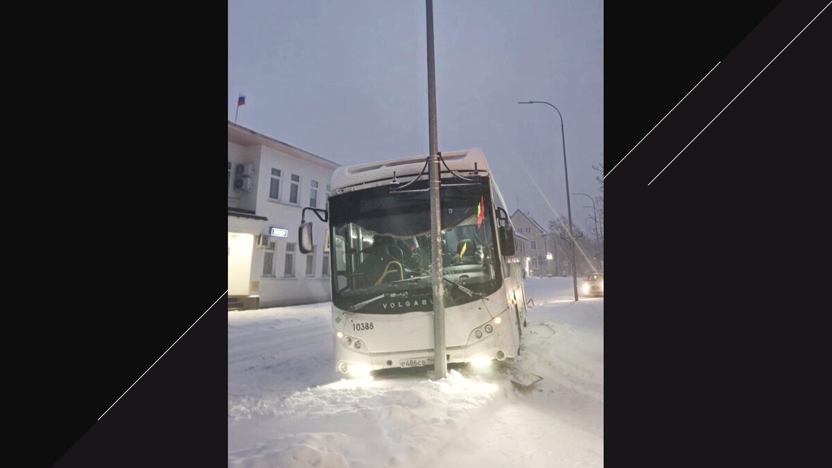    Фото: соцсети