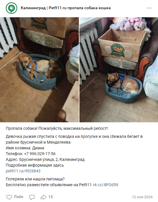 Когда я увидела это объявление, у меня внутри всё сжалось