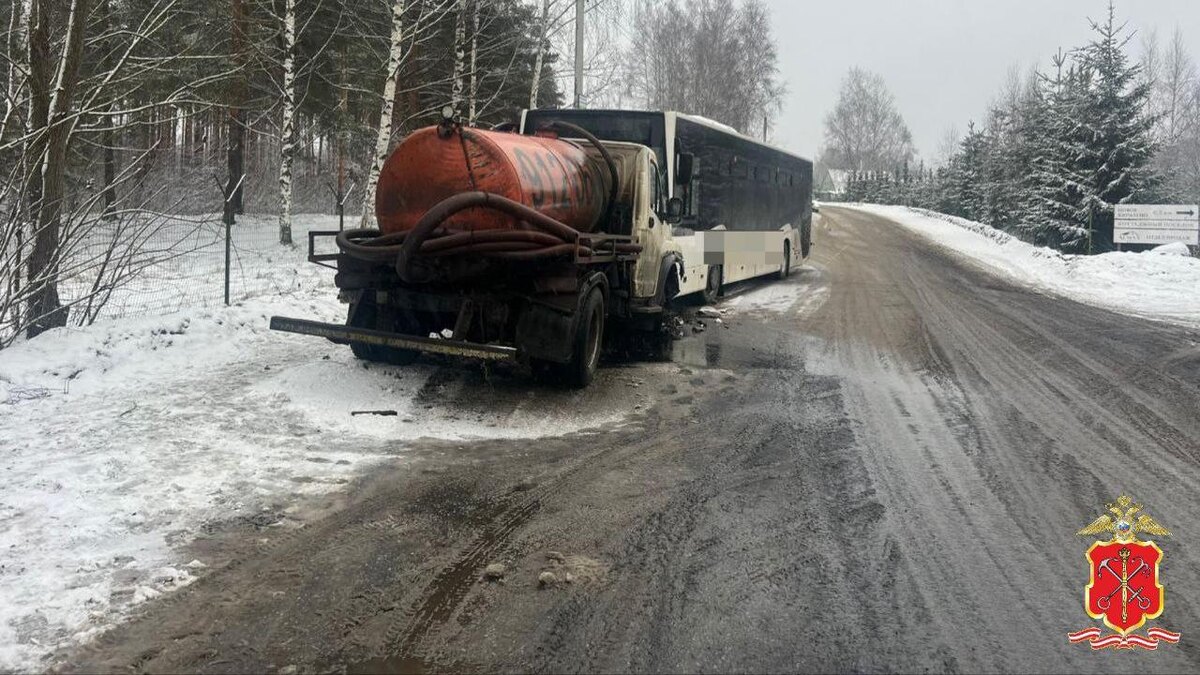    Фото: пресс-служба ГУ МВД РФ по СПб и ЛО