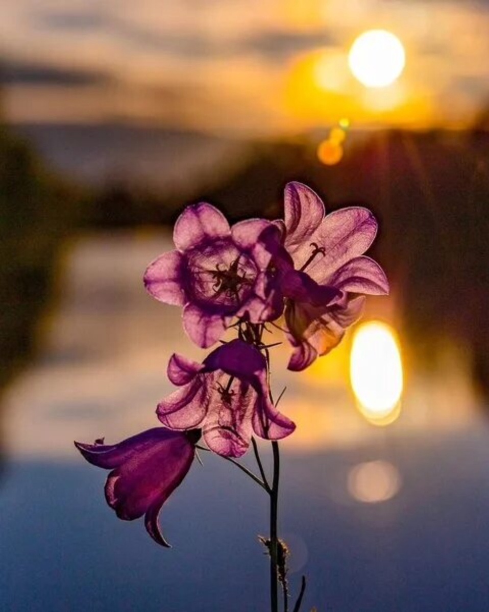 Изображение из открытых источников