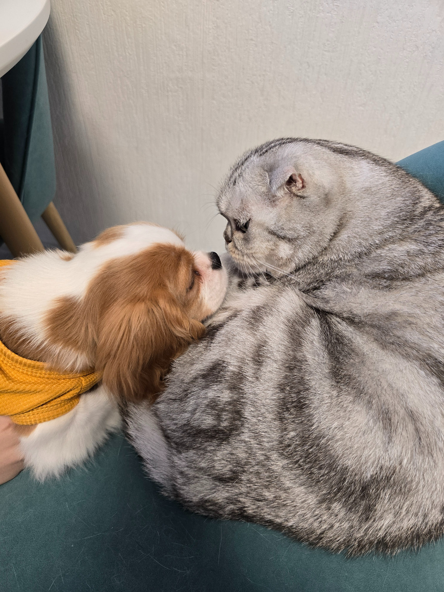 Не прошло и недели...