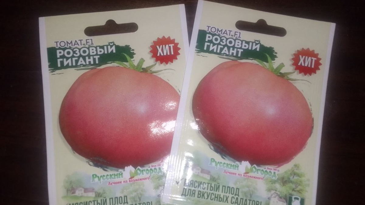 Хороший позднеспелый сорт.