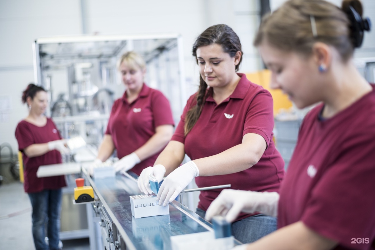 Картинка взята из Интернета