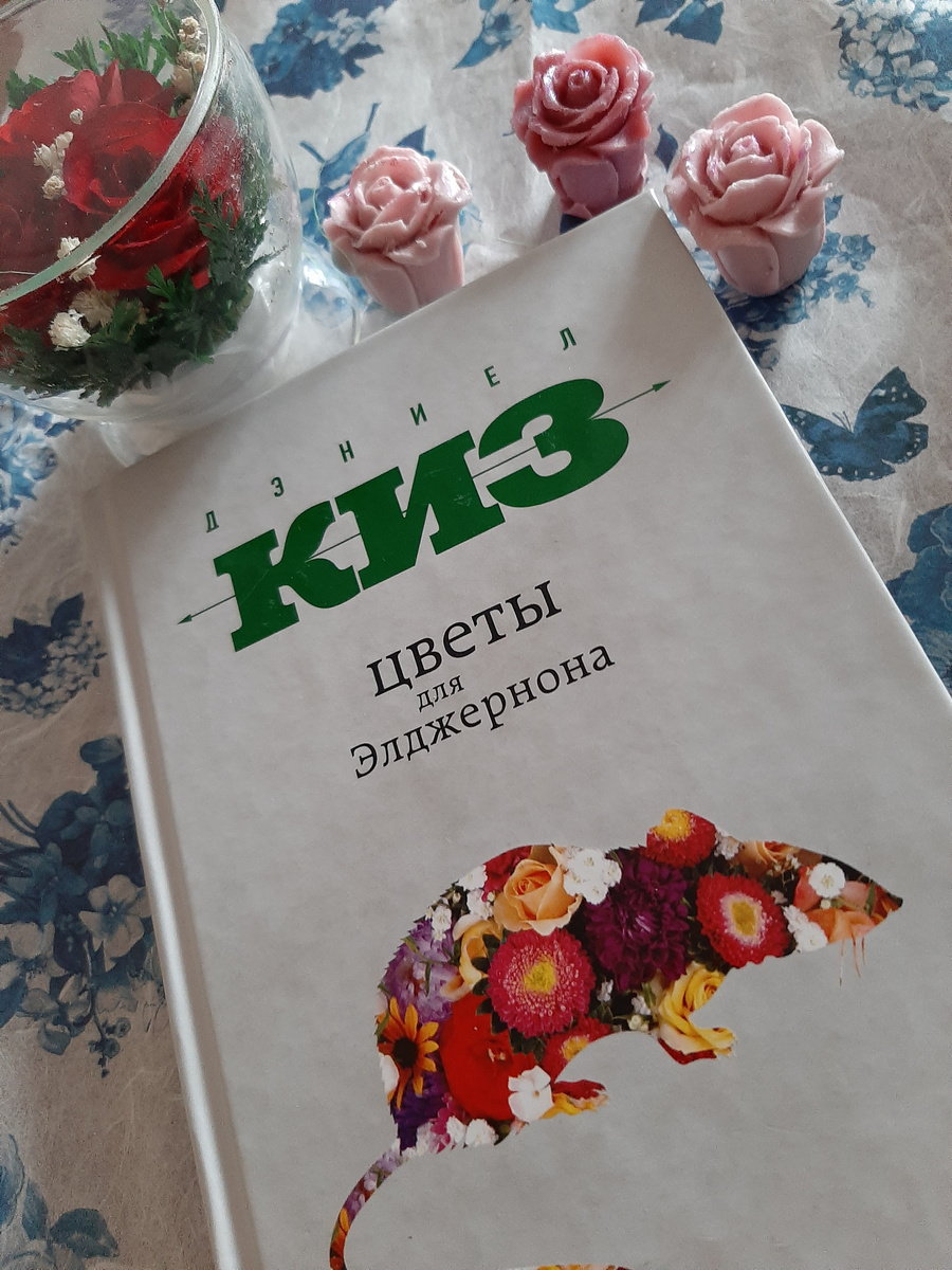 Жительница моей книжной полки