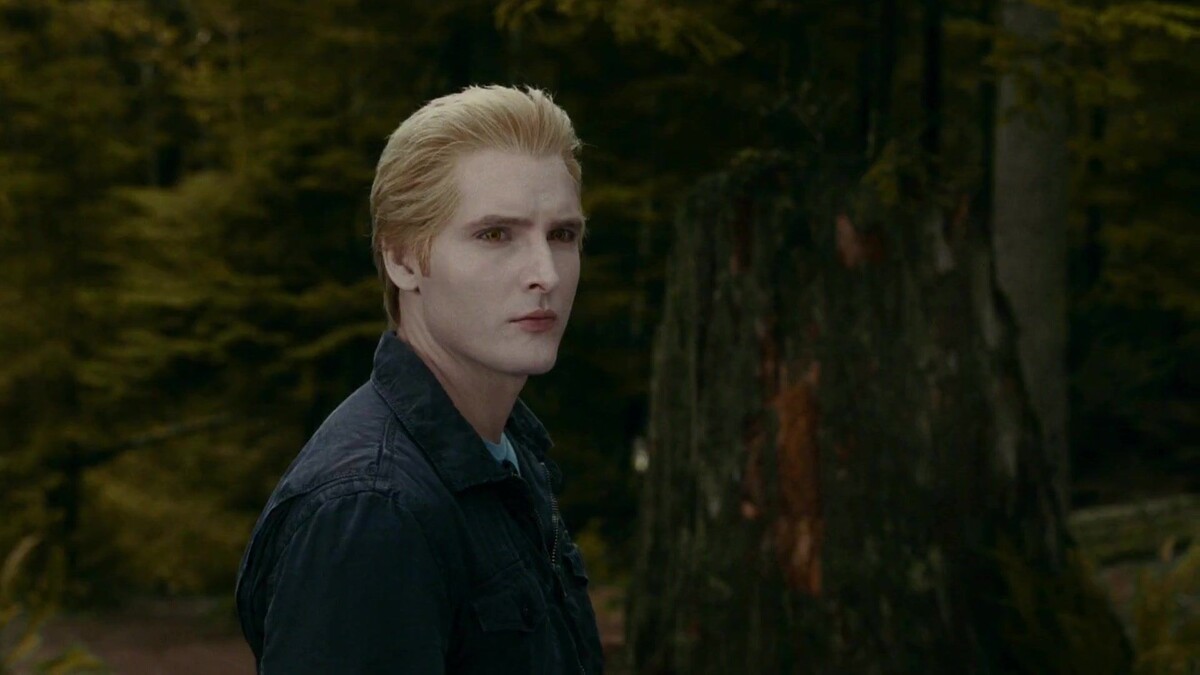 Кадры из саги «Сумерки»