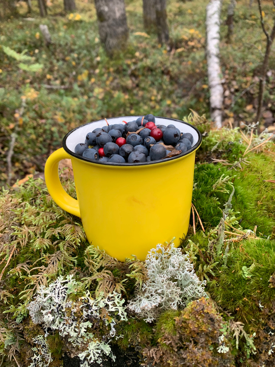 Где-то в Карелии. Фото из архива автора.