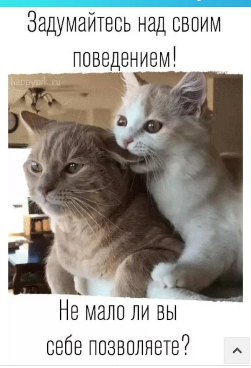 источник Яндекс-картинки