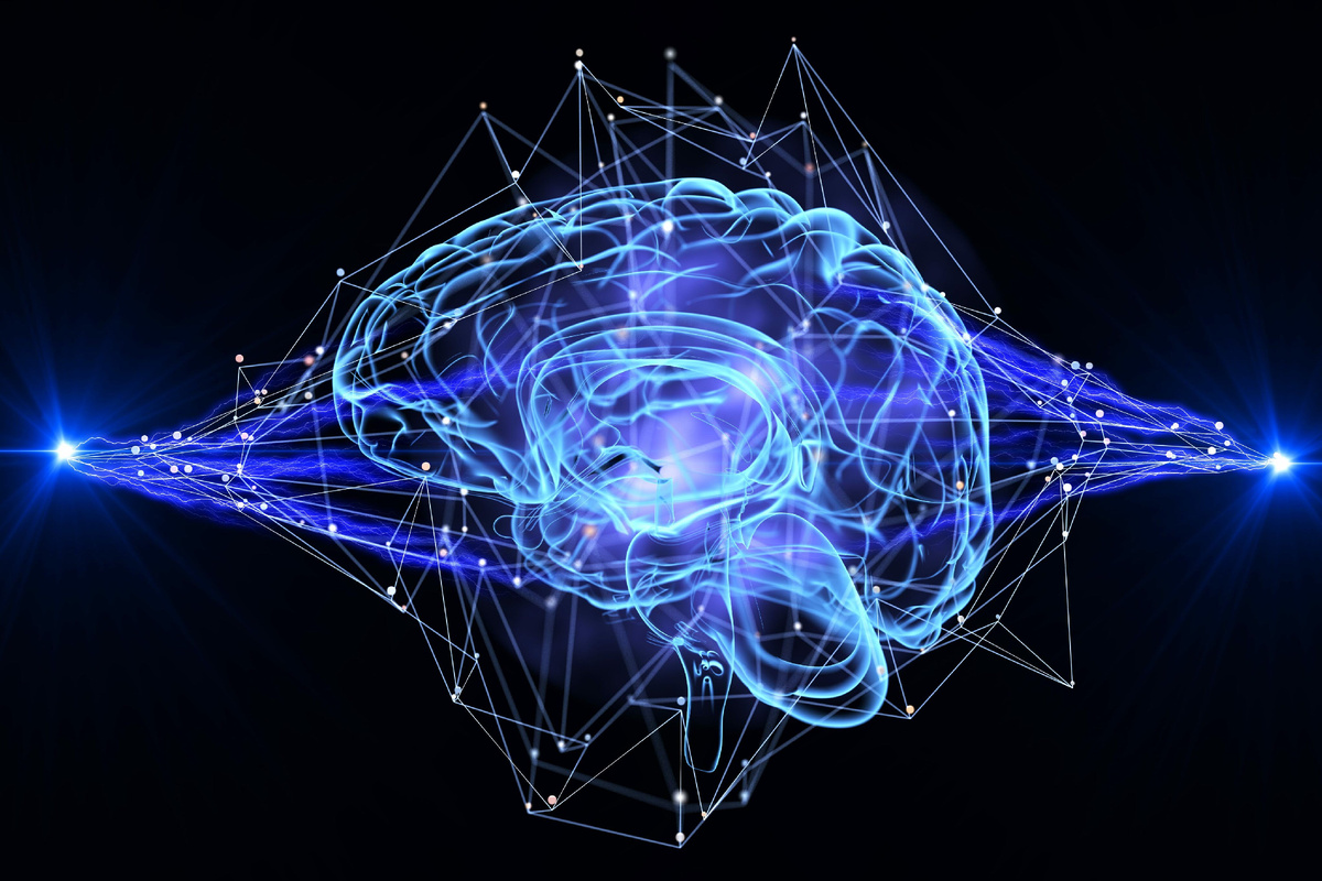 Нейроны формируют нейросети 