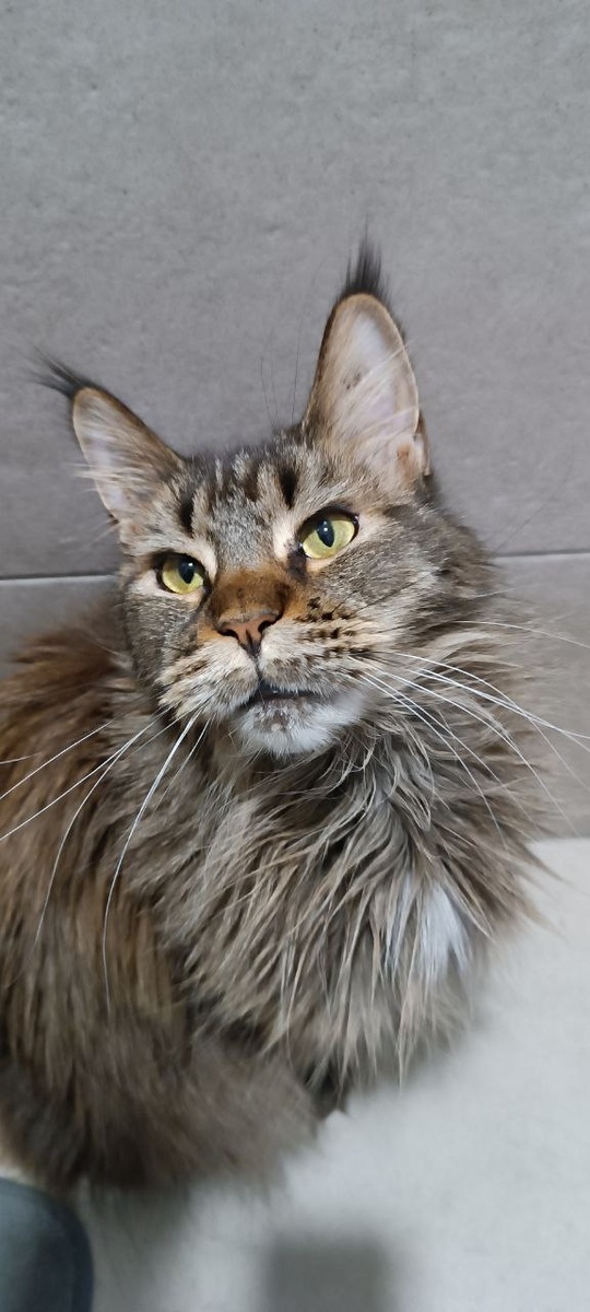 Это я с Двуногой, на неё ворчу!