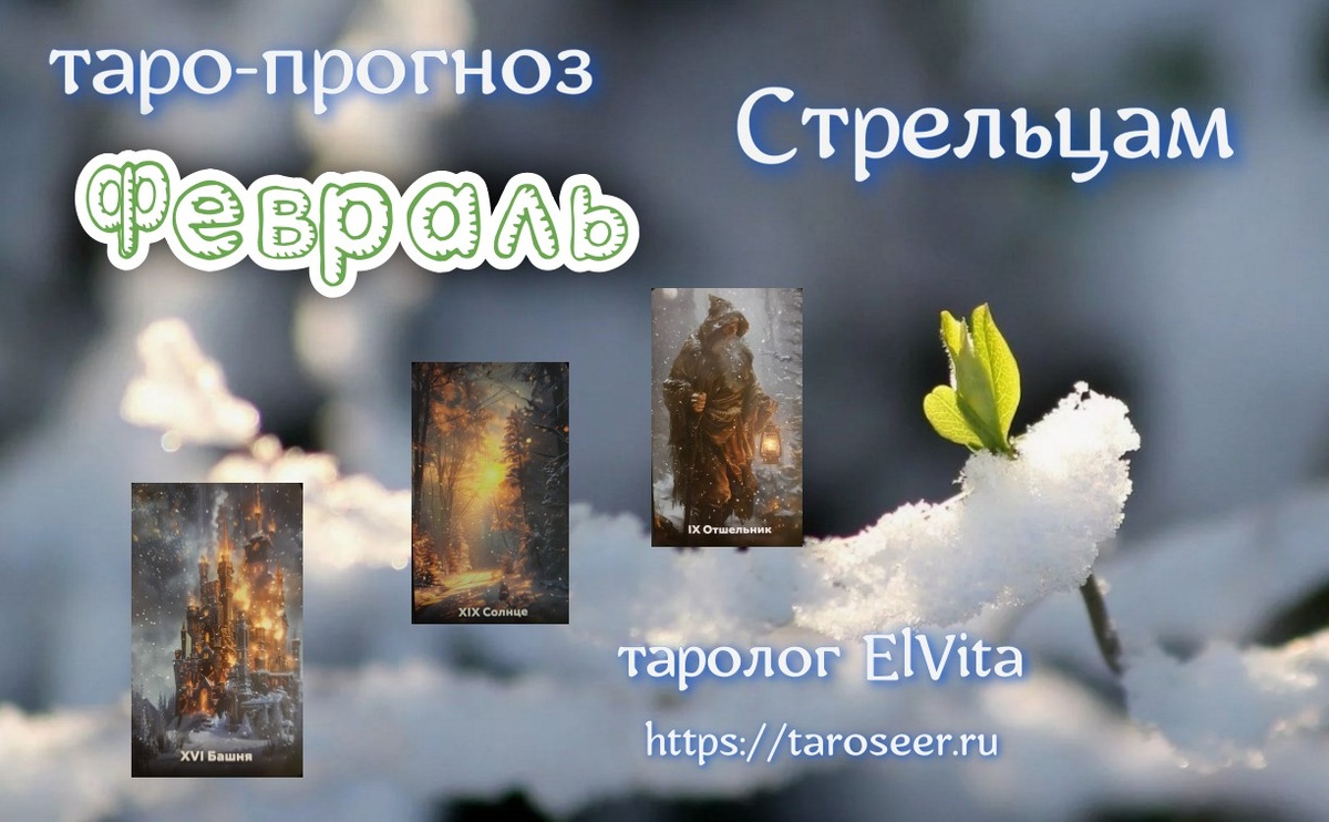 коллаж Елвита