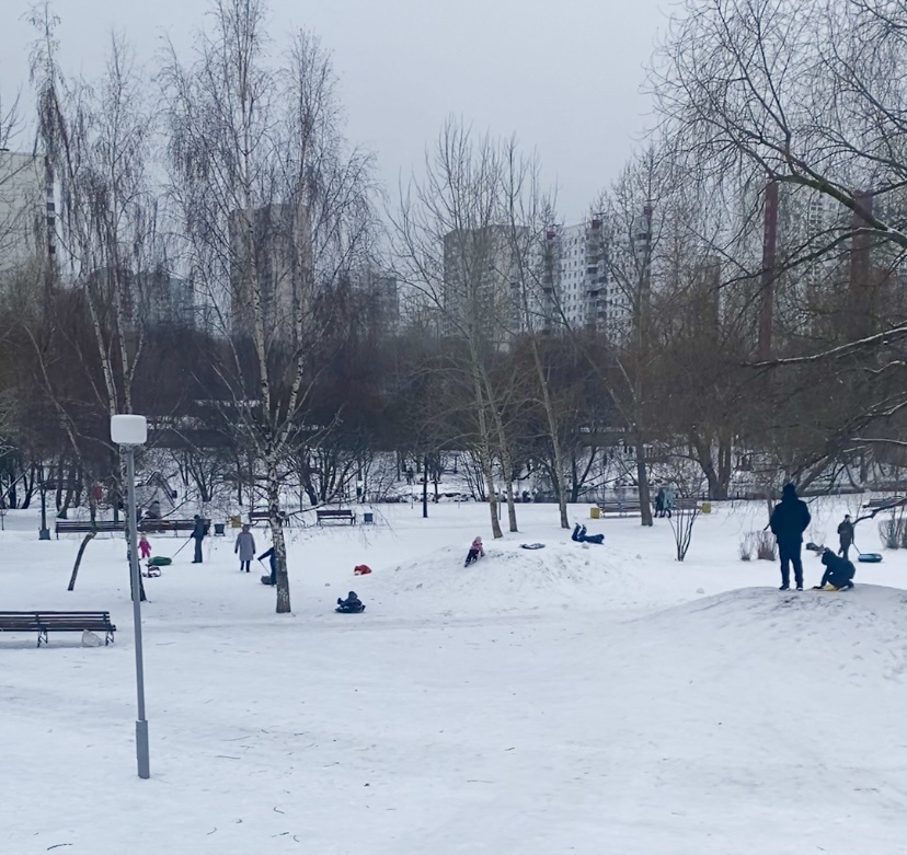 Веселые зимние деньки. 