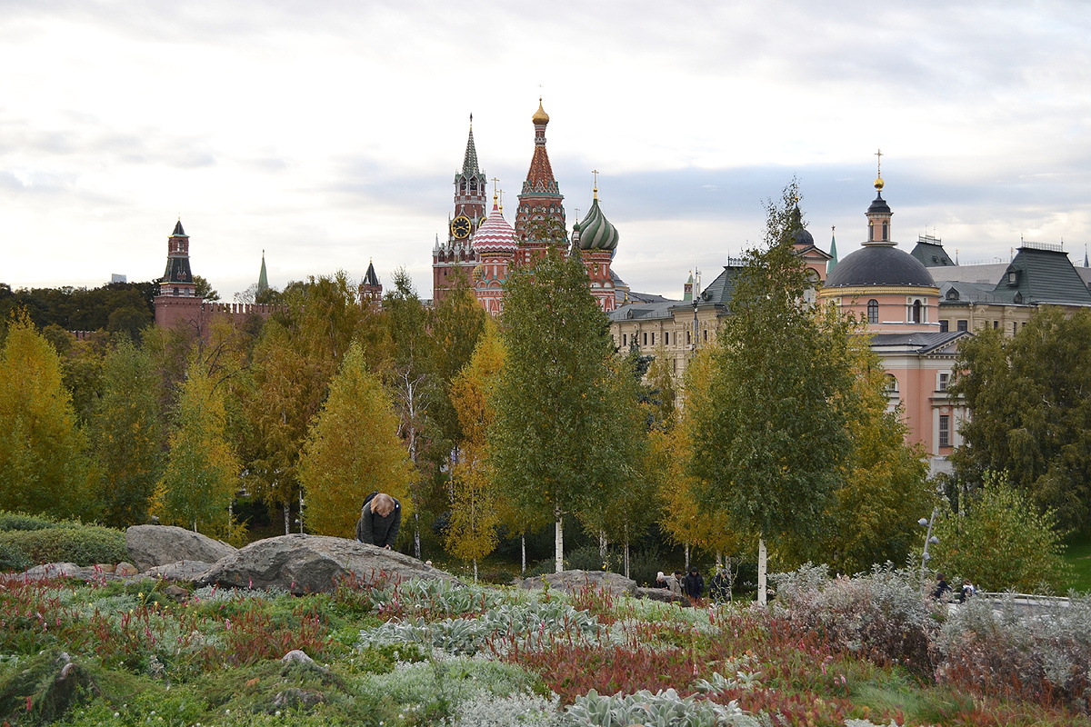 Москва. 20.10.2024г. Вид с альпийского холма парка "Зарядье" на Кремль. Справа - Церковь Великомученицы Варвары (розовая с серым куполом), рядом здание Английского двора (музей), справа и немного назад Палаты бояр Романовых (музей). Фото автора