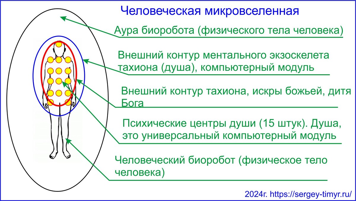 Матрица и человеческая микровселенная.